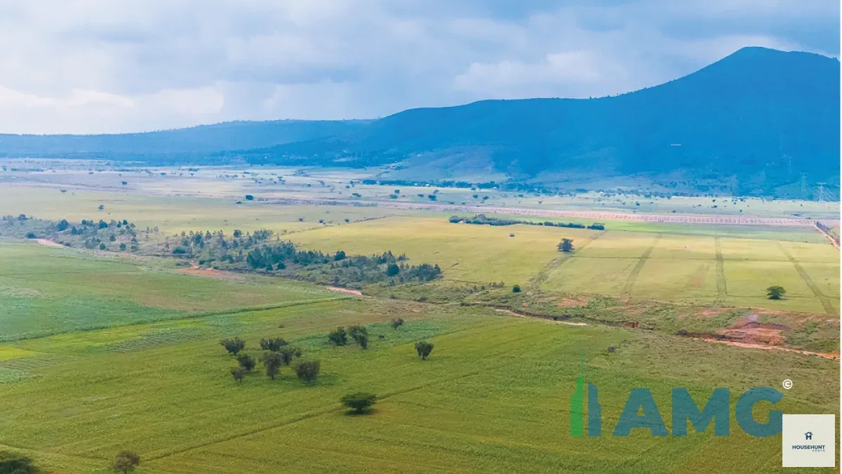 Land for Sale Naivasha Silverbell photo 2