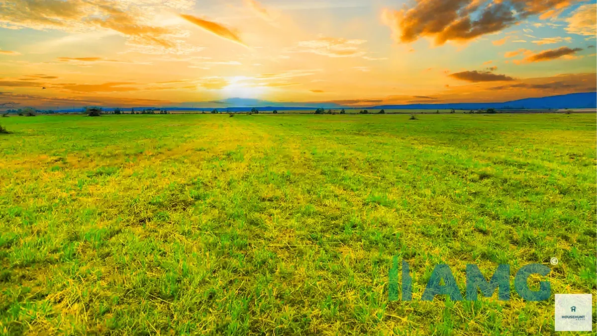 Land for Sale Naivasha Silverbell photo 3
