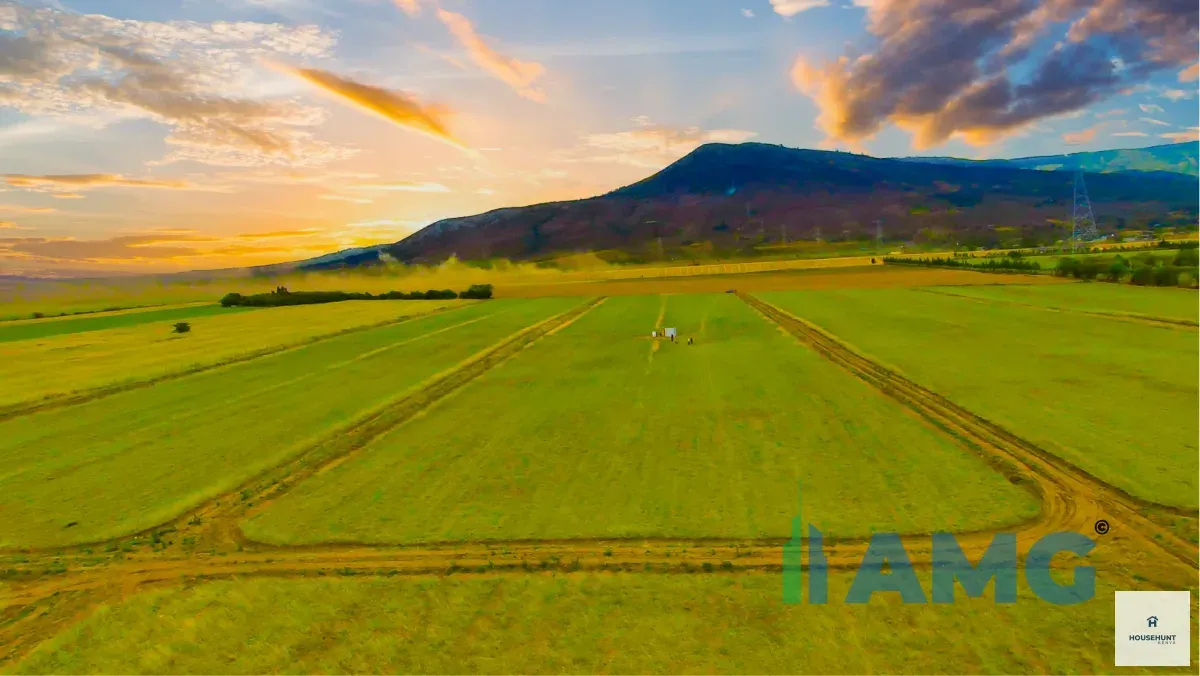 Land for Sale Naivasha Silverbell photo 4