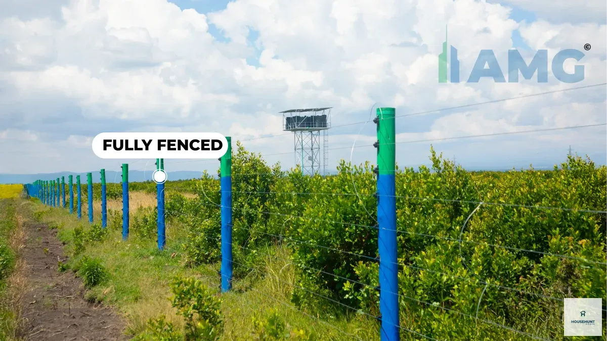 Land for Sale Nanyuki Beverly Acres Phase 7 photo 2