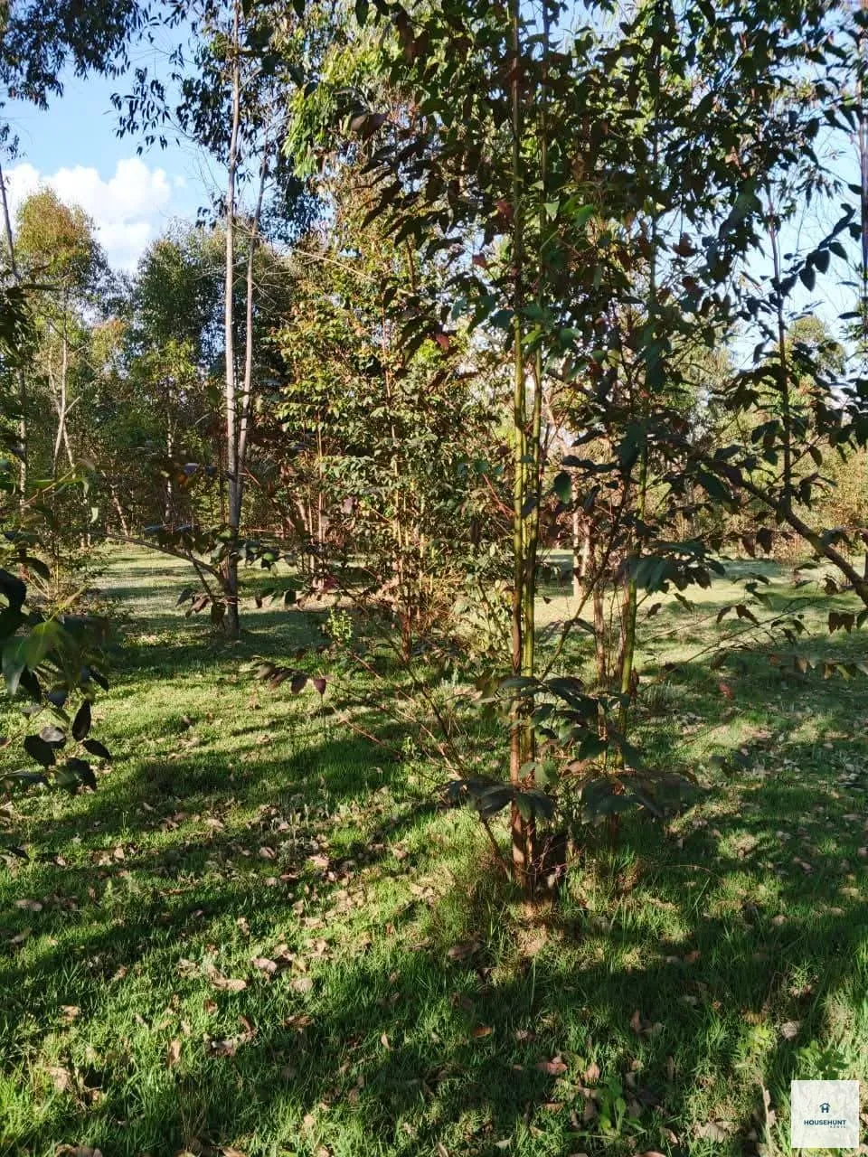 7.5 acres on sale 300m off Njabini Naivasha photo 2