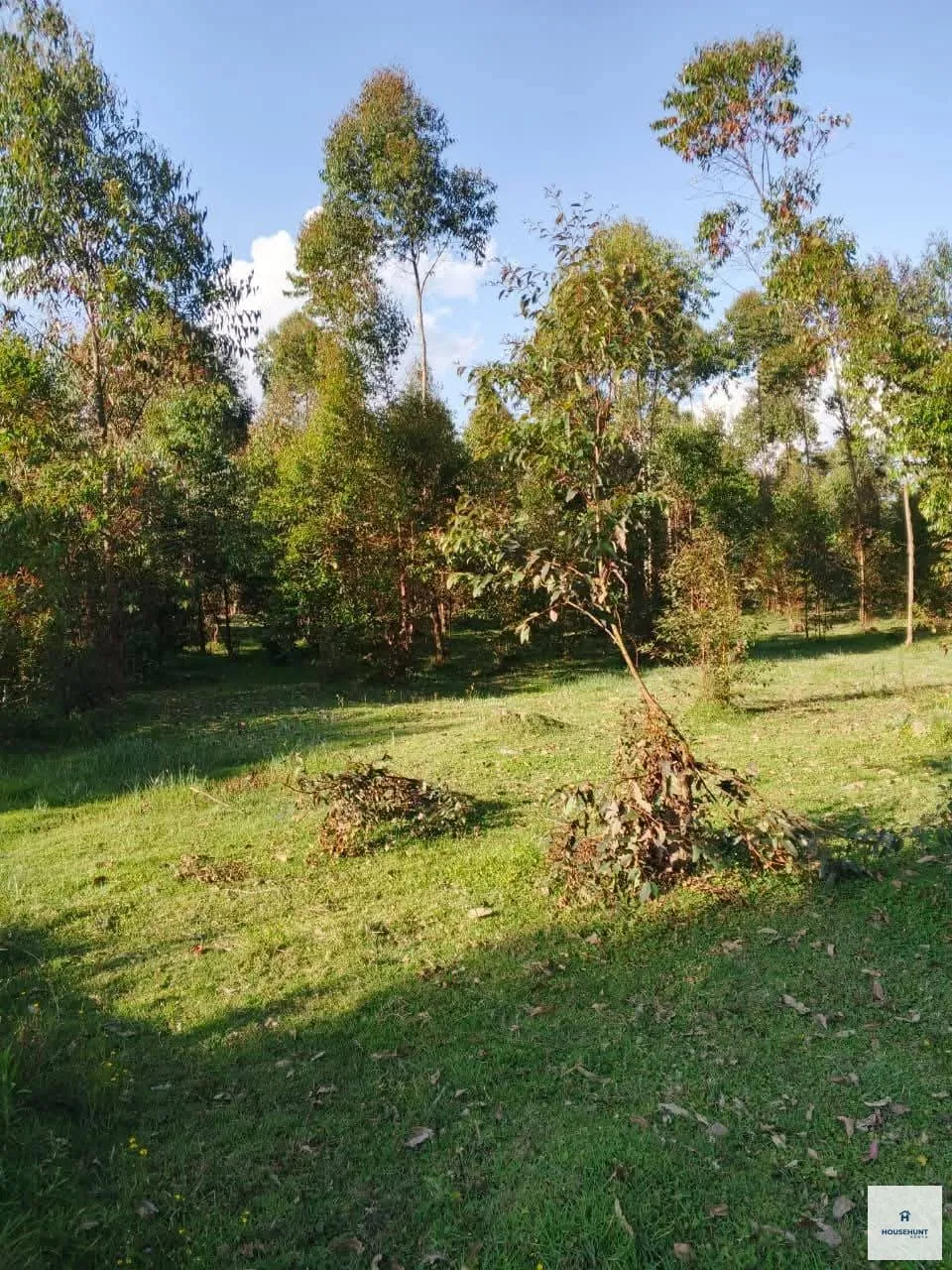 7.5 acres on sale 300m off Njabini Naivasha photo 3