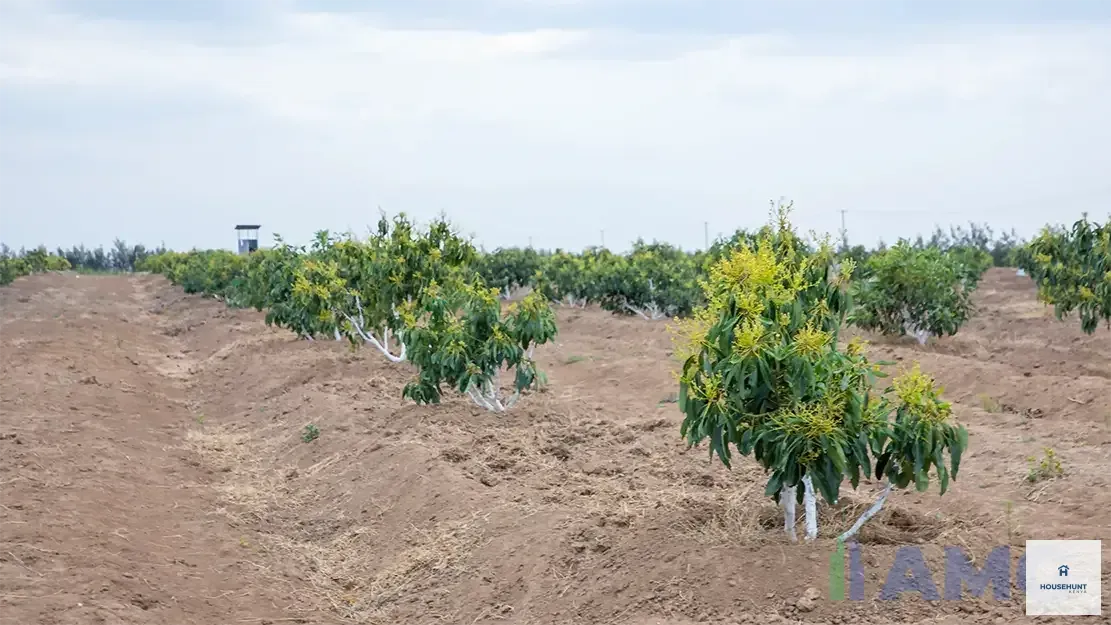 Land for Sale Nanyuki Acres  photo 2