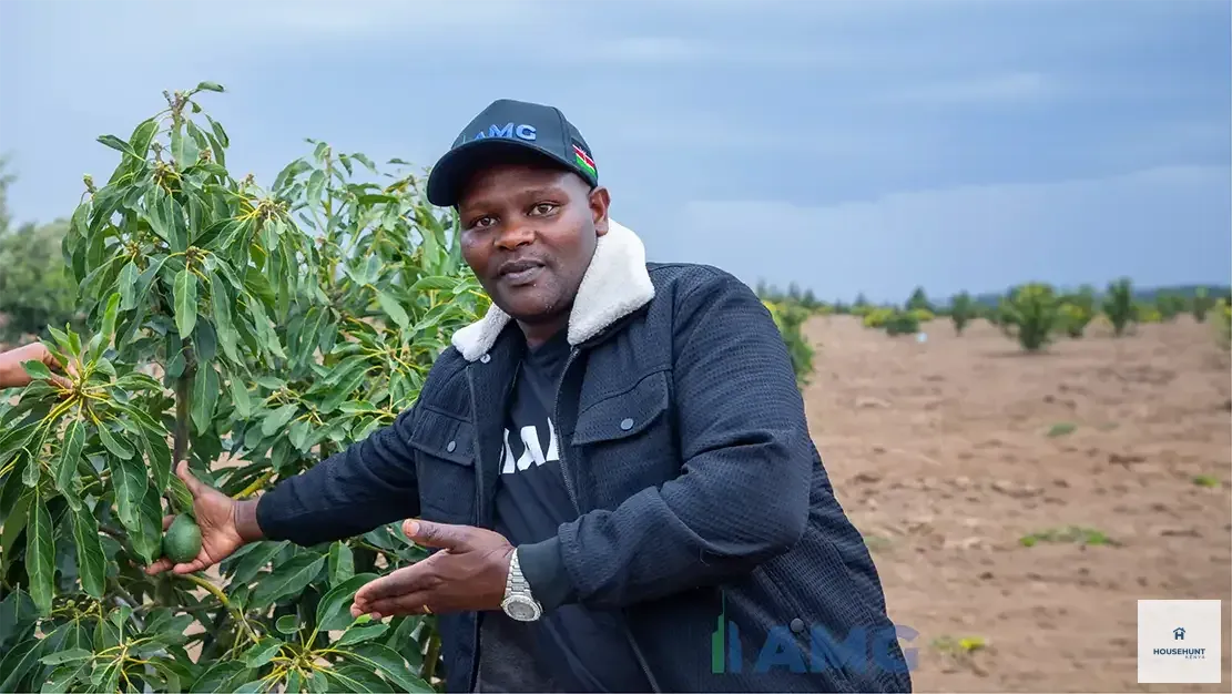 Land for Sale Nanyuki Acres  photo 4