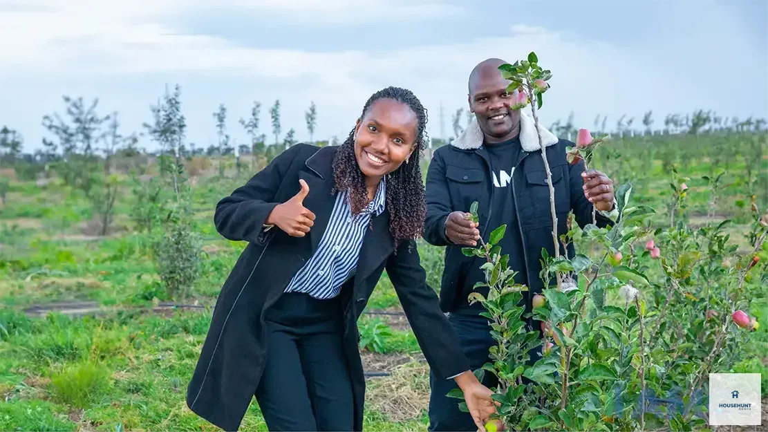 Land for Sale Nanyuki Acres  photo 5