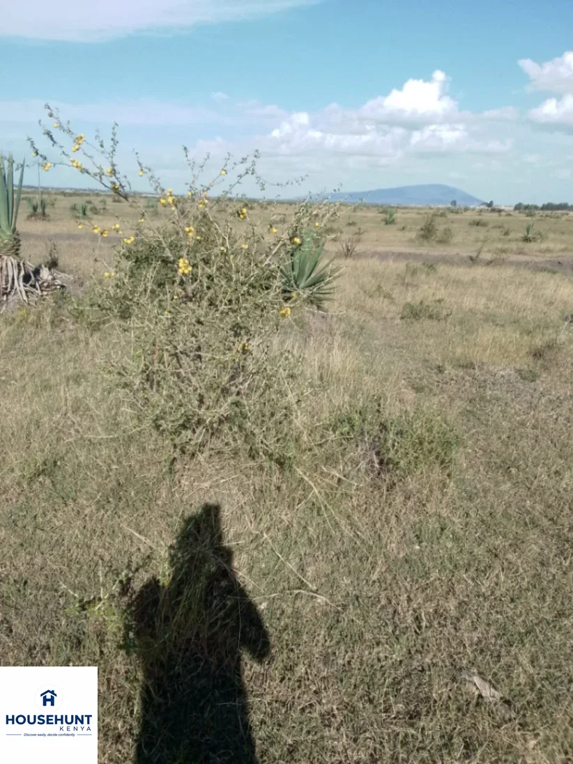 1/4 acre plot for quick sale photo 2