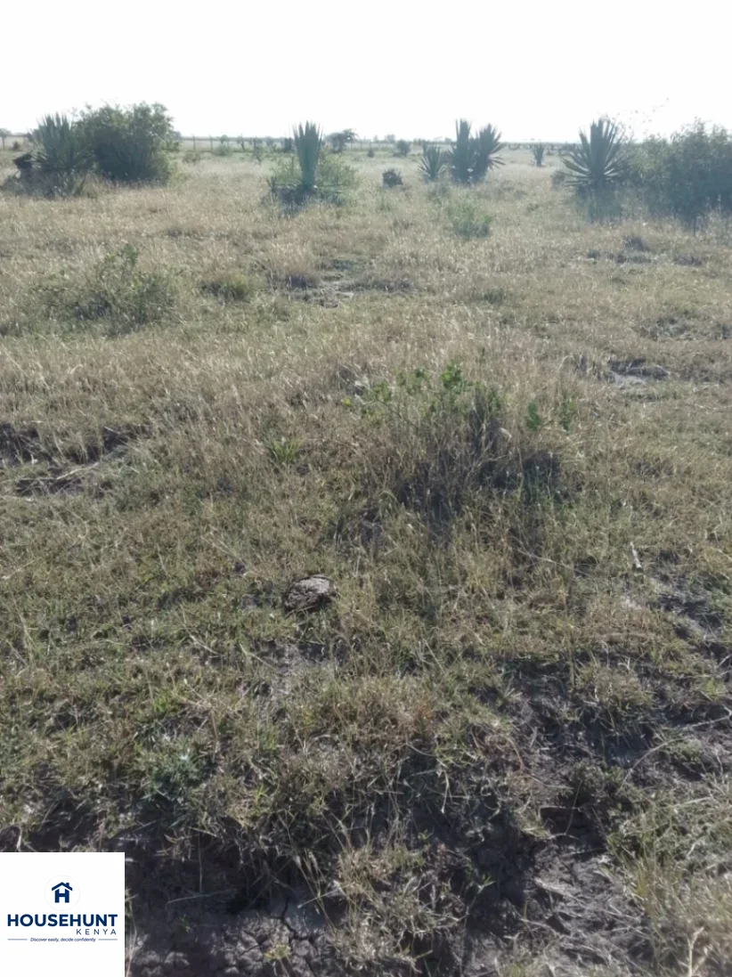 1/4 acre plot for quick sale photo 3